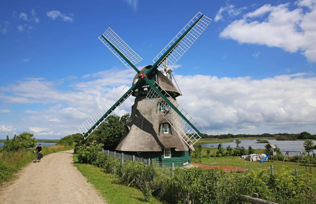 Puehler - Ferienwohnung Amsel Kronsgaard Exterior foto